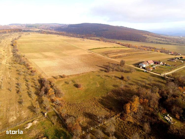 Teren extravilan de vanzare in Calnic! - 2