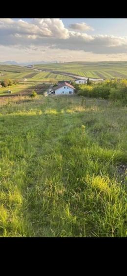 Oportunitate! Teren intravilan de vanzare, 2000 mp., Tureni - 2