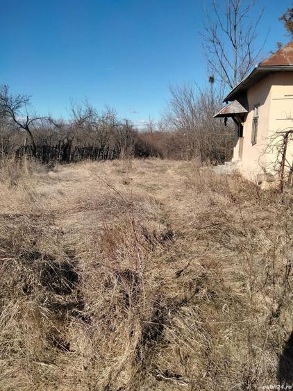 Vand casa+teren intravilan aproape 4000 m comuna suseni sat ?u?ule?ti judetul Arges pre? negociabil - 3