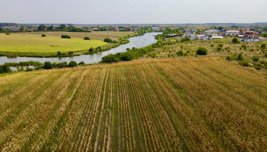 Oportunitate Investitie Teren 5.4HA  Deschidere la Lac, Padure, Paradisul Verde - 3