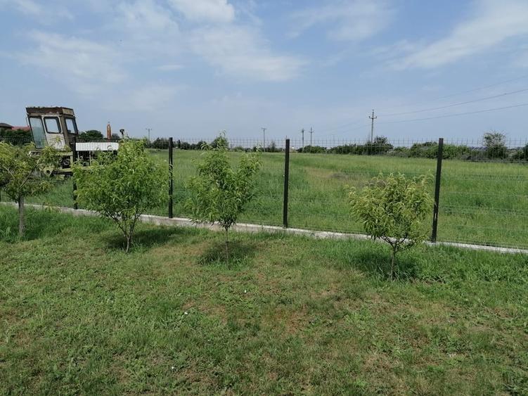 Tartasesti, Dambovita - 1