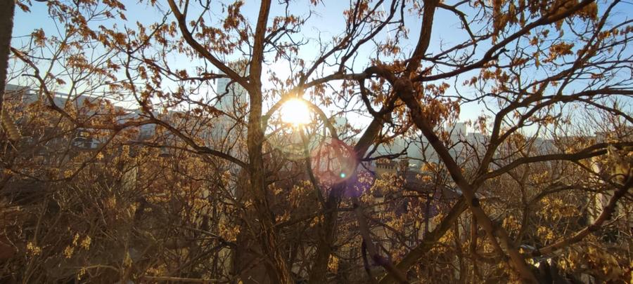 Banu Manta, garsoniera de inchiriat, 3/8, decomandat, an 1980, mobilata modern - 7