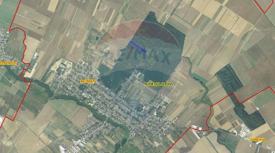 Teren 10,000mp Afumati | Padure | Soseaua Petrachioaia - 2