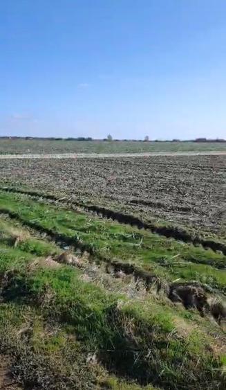 Vanzare teren Vidra Cartier Megaparc - 7