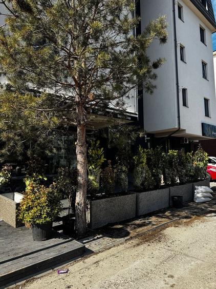 Spatiu Cafenea / Bar cu terasa amenajata si mobilata Otopeni 23August - 18