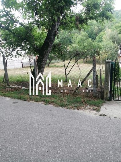 Teren Intravilan 10.000 mp | Livadă + Pădure de salcâm | Bărbătești - 5