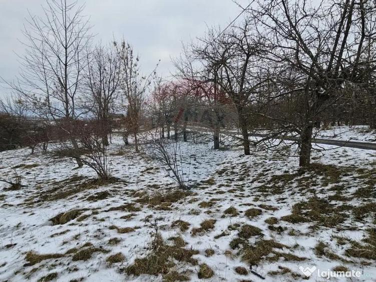 Teren 10,000mp Rada?eni / ?oseaua DN2-E85, jude?ul S... - 4