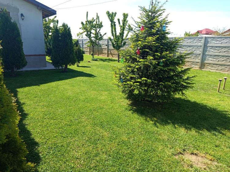 Casa Copaceni Ilfov - 5