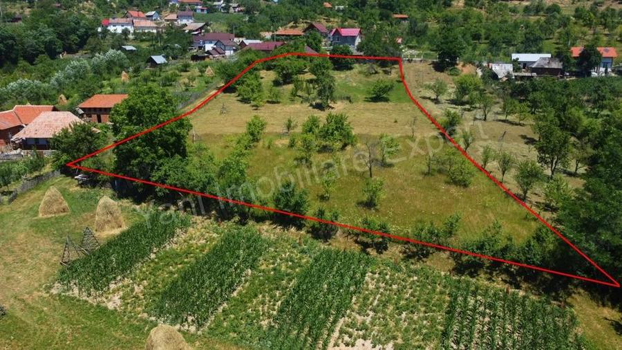 Teren de vanzare in comuna Cicane?ti, sat Bara?ti, jude? Arge?. - 16