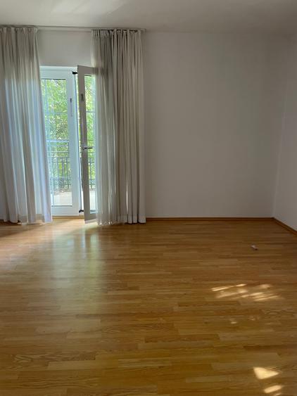 Iancu Nicolae vila 5 dormitoare gradina matura - 16