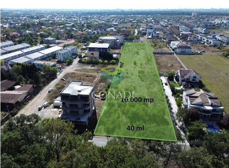 Teren - Voluntari - vis a vis de Padure - 10.000 mp - 1