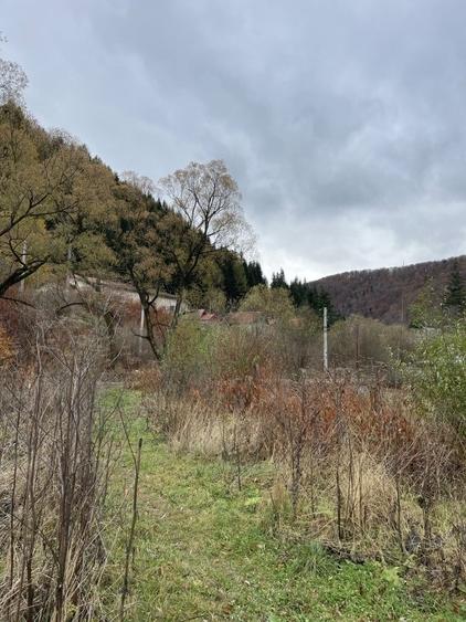 Teren Azuga acces din DN1 toate utilitatile - 5