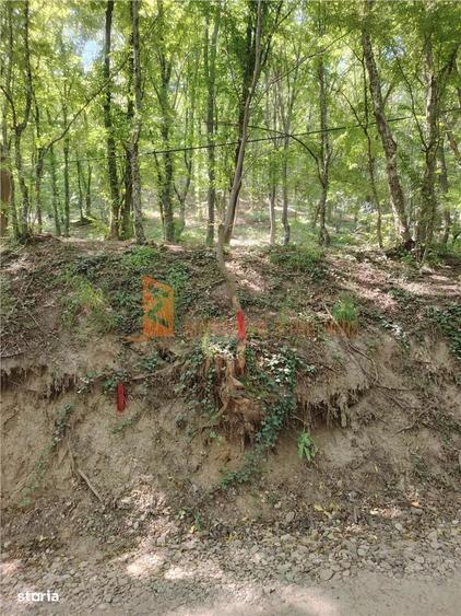 Teren intravilan zona Monteoru - 9