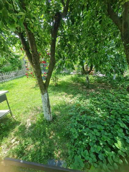 Vand casa 3camere in spate la blocul privilege - 8