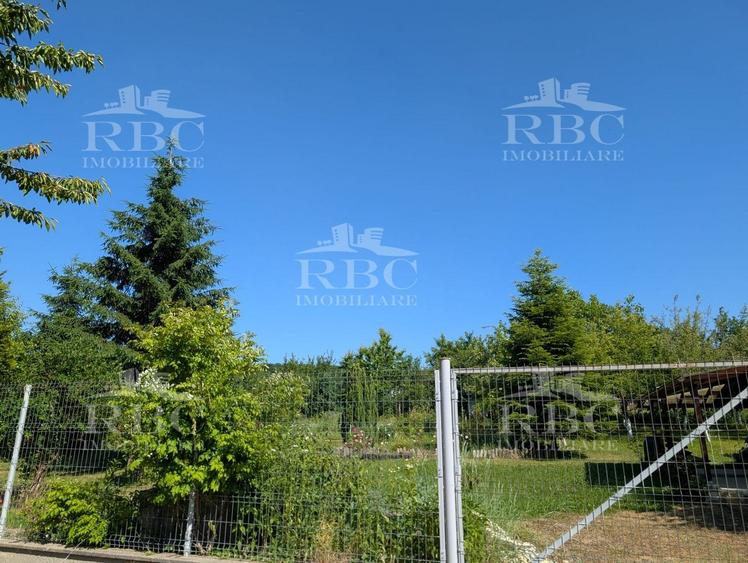 Teren pentru constructie casa in Faget - 3