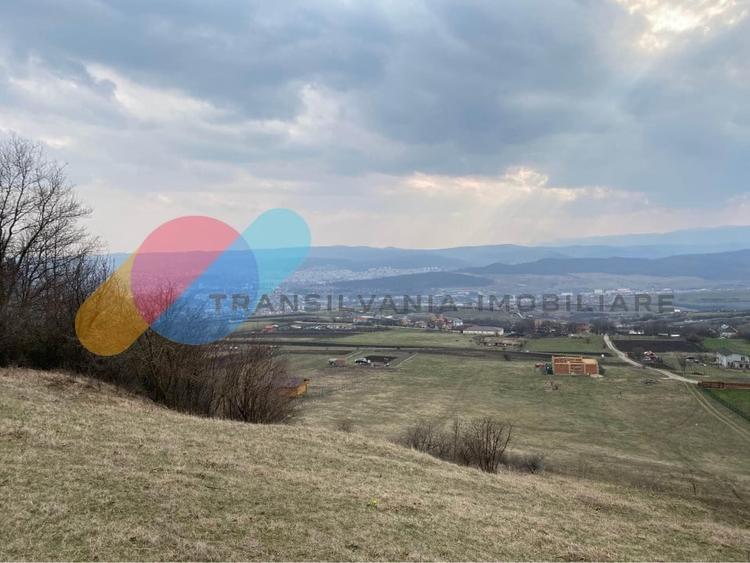 Teren intravilan cu view 2000 mp+300 mp de padure in Lomb - 1