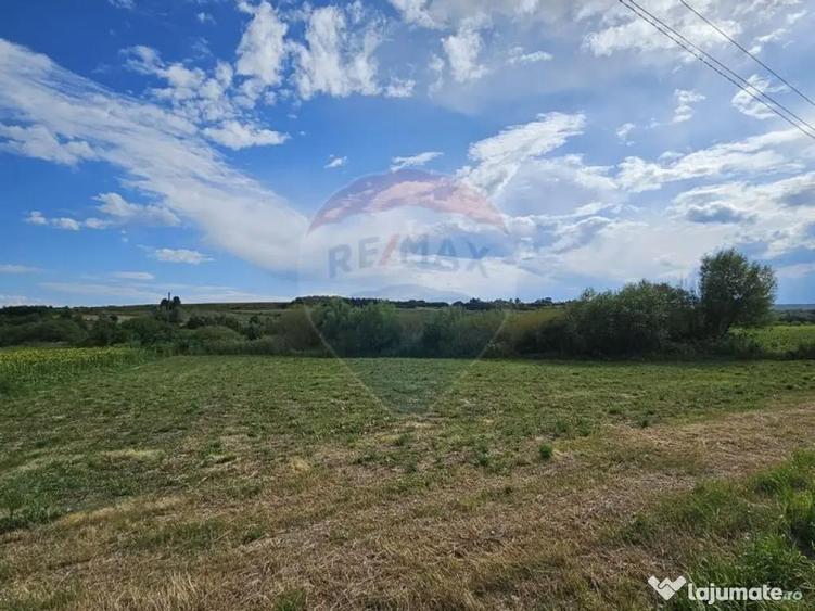 Teren extravilan 12000 mp- Padureni-?endriceni, Boto?ani - 2