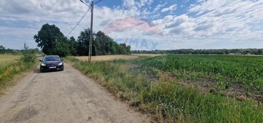 De vanzare teren 10.001 mp sat Oniscani, comuna Filipesti - 3