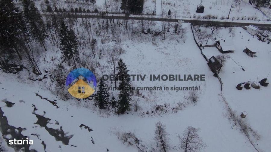 Teren 2283 mp Tarcau - 4