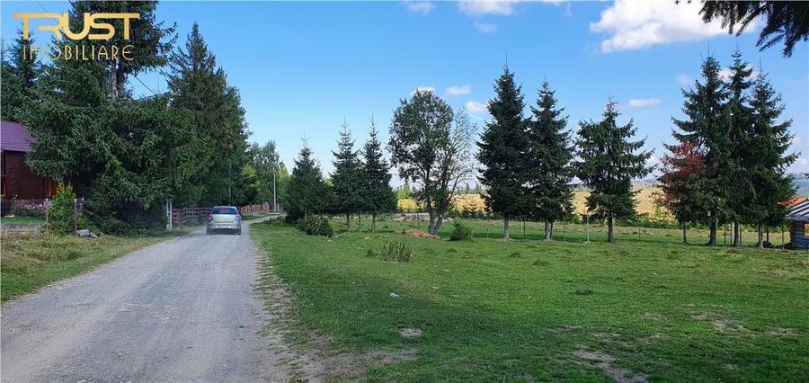 Oportunitare | Teren 1ha cu PUZ | Belis - 5