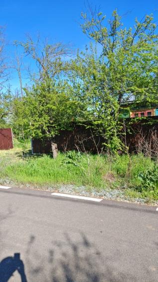 Vand proprietate   - 16