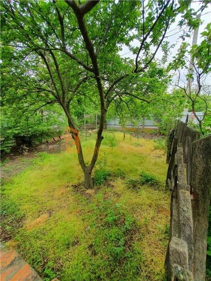 EXCLUSIVITATE! Casa + teren zona Beilic, com. Sageata - 13