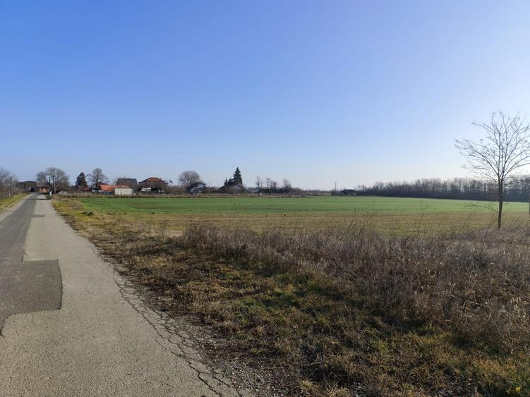 Gradistea/Zona padure - 5