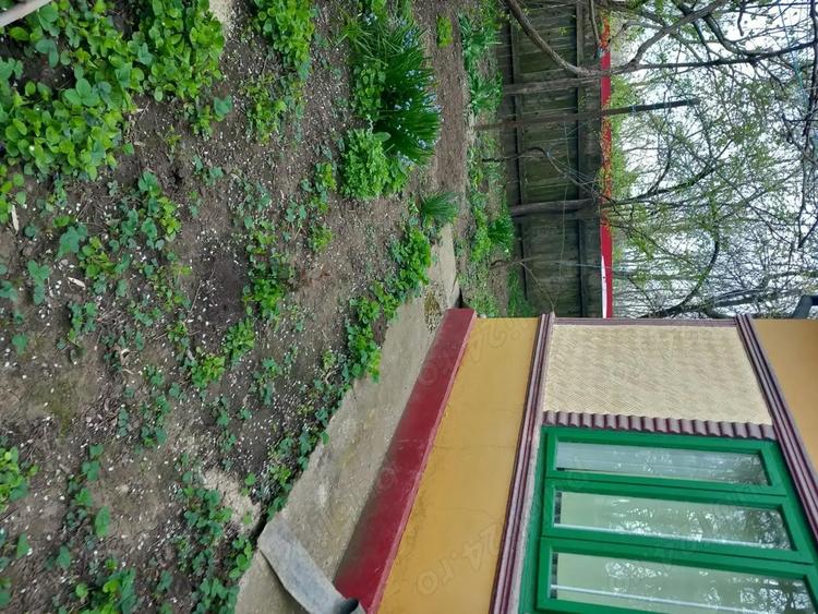 Casa batraneasca si teren de vanzare: Silistraru, Braila - 5