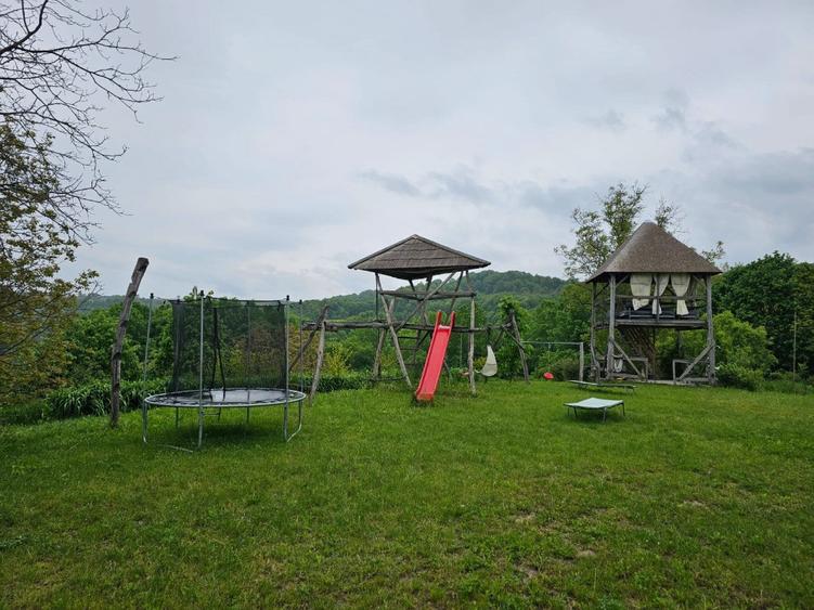 Carbunari,50 ari teren - 5