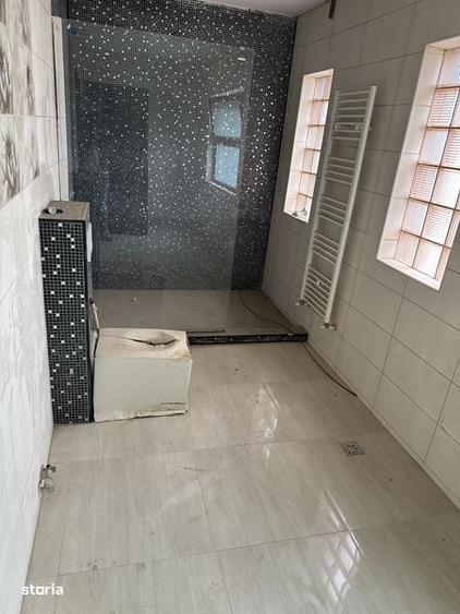 Casa Aeroport Vasile Gionea (dupa Dezmembrari) - 8