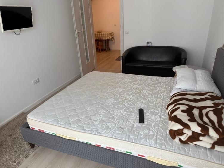 Apartament 2 camere Central Park 4 - de inchiriat - 7