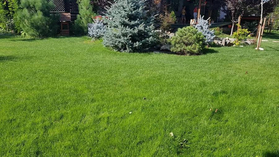 Varasti: Vila individuala cu o curte de 1000 mp ! - 9