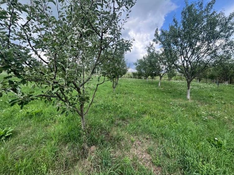 Casǎ spațioasă de vânzare  demisol, parter , etaj - 8