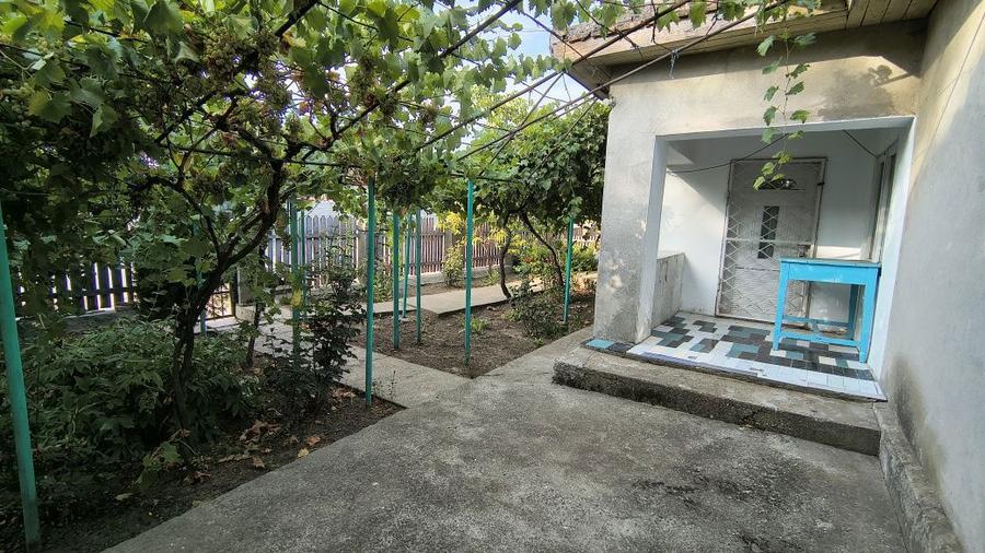 Casa de Vanzare 1265 M2 Cobadin - 7