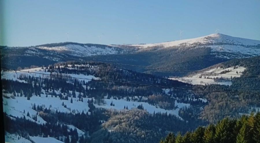 Vand Parcele in Arieseni - 1