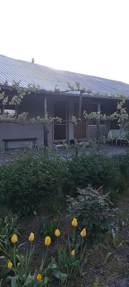Casa de vanzare in judetul Prahova, comuna Draganesti, sat Baraitaru - 4