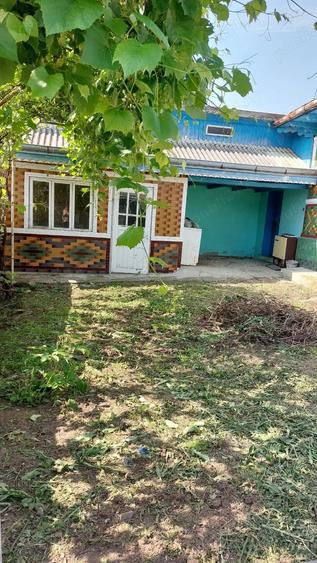 Vand casa in comuna strunga sat farcaseni - 3