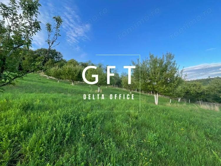 PARCELE TEREN INTRAVILAN 5-29.2 ARI - DOROLEA - 4