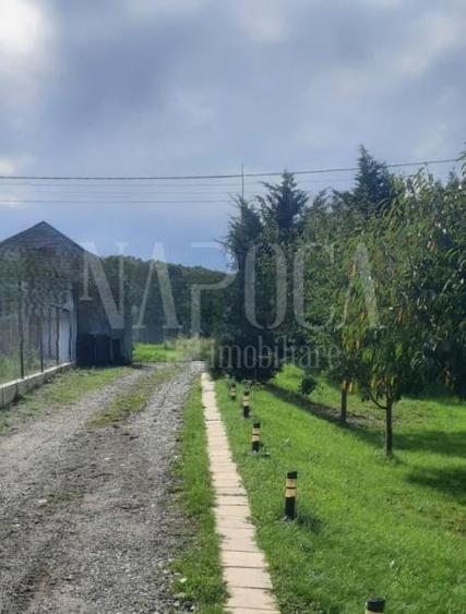 Casa 4 camere de vanzare in Salicea - 6