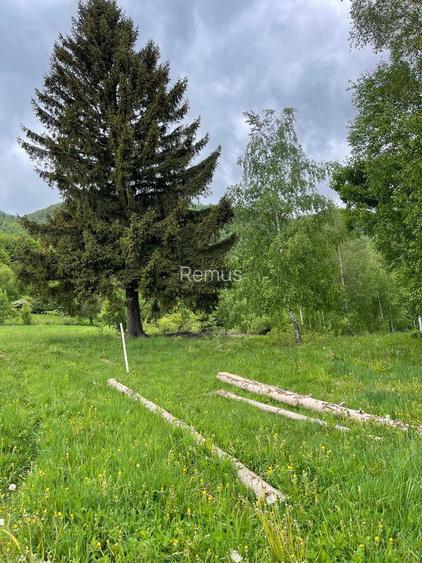 Bran - Tohanita - Predelut - Teren superb 1.6 hectare Bran - Tohanita - Predelut - Teren superb 1.6 hectare