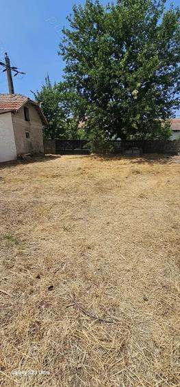 Casa de vanzare Afumati - 4