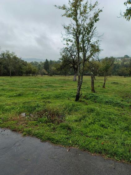 Casa cu teren 2 hectare intravilan - 2