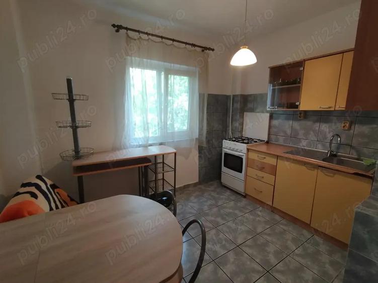 Apartament 2 camere etaj 1 Tr Severin decomandat 70000 euro negociabil - 6
