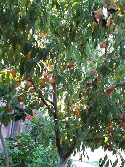 Vand vila p+1+pod - 5