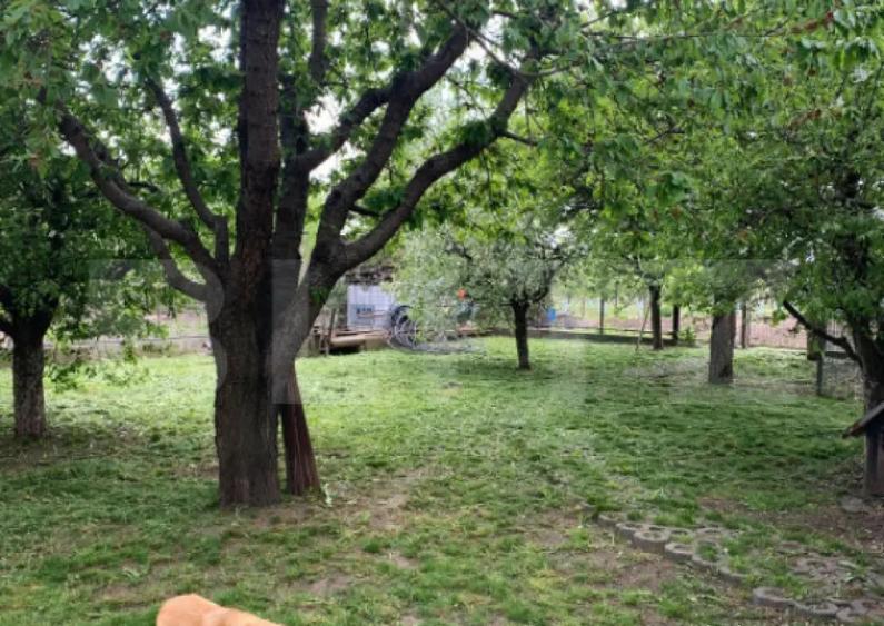 Teren intravilan + constructie, 1554 mp, Bosanci - 1