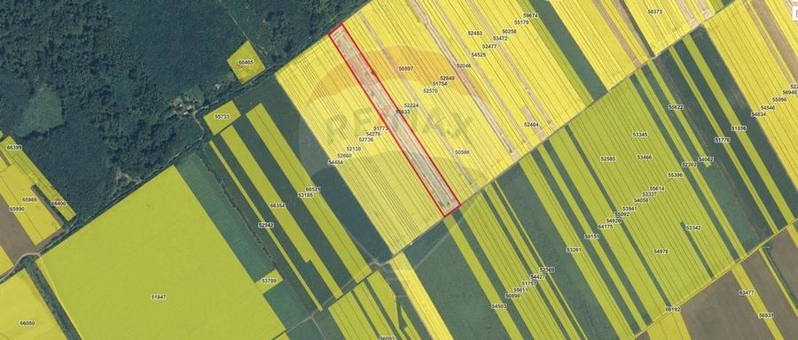 Teren intravilan Buftea, langa Padurea Mocanului - 5