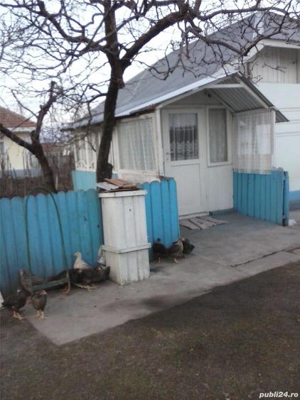 vand casa Sat Nou Berezeni - 2