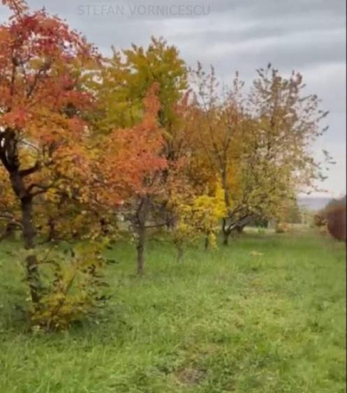 Teren la Strada EUROPEANA , CU TOATE UTILITATILE parcele de - 13