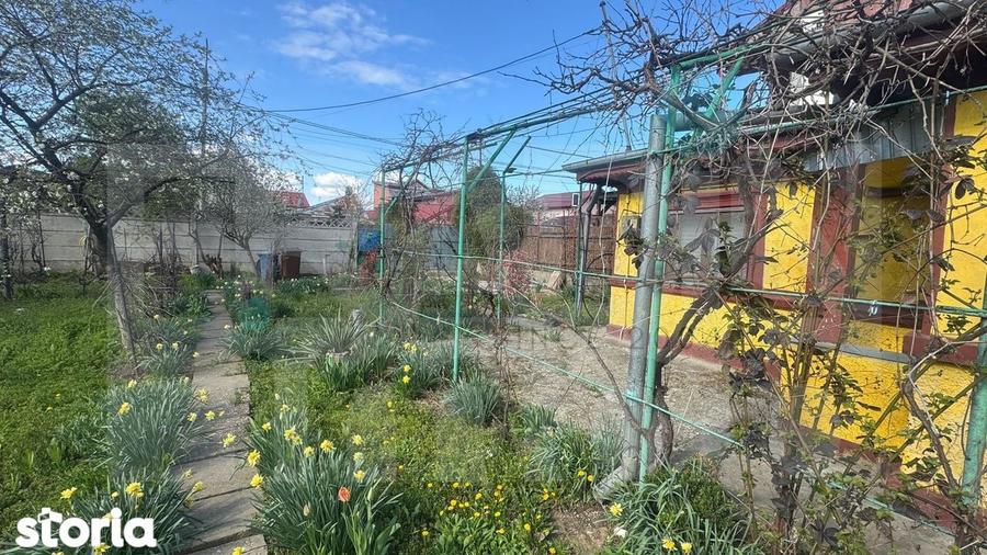 Voluntari - Teren cu casa locuibila 861 m2 ideal pentru proiectul tau - 1