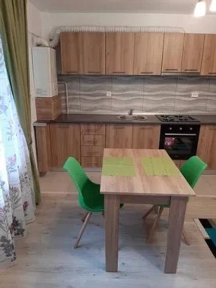 Apartament cu 1 camera, zona Nicolina-Lidl - 5